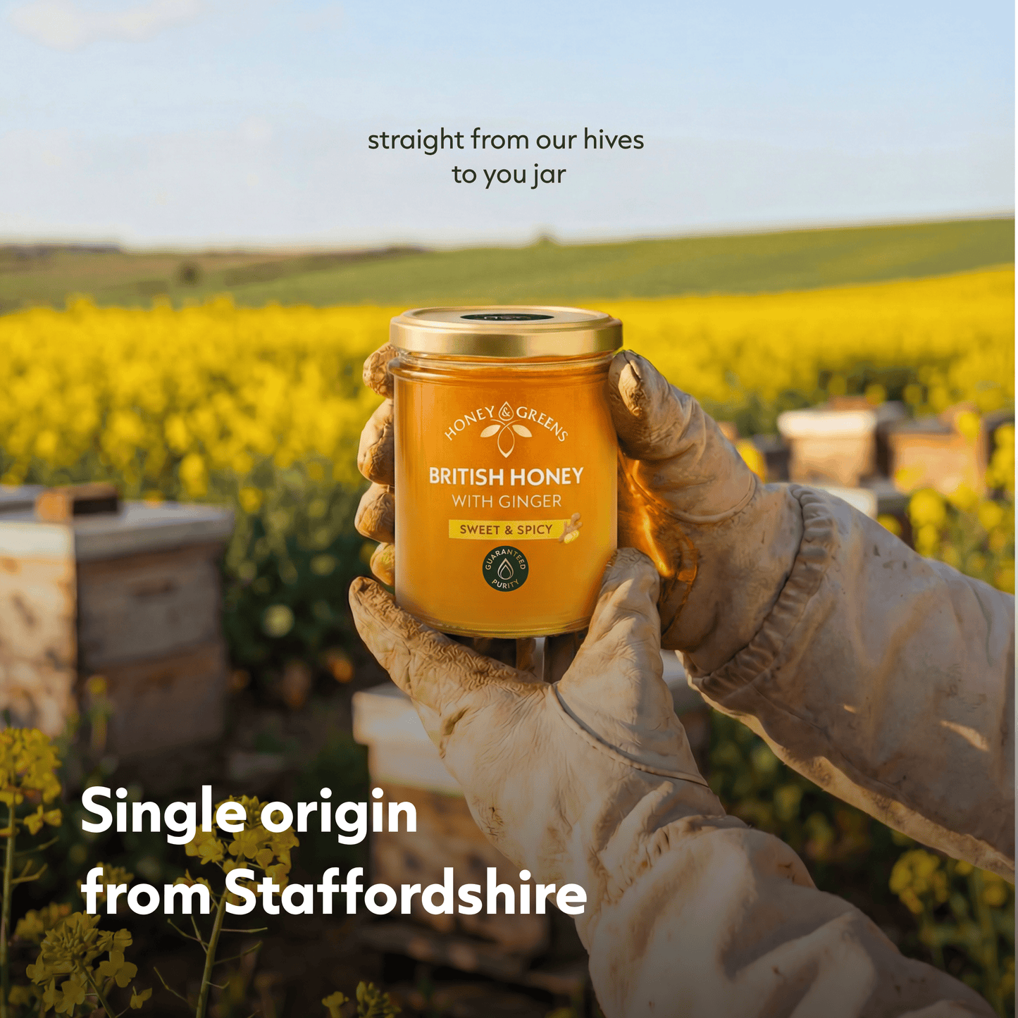 British Ginger Shine Honey