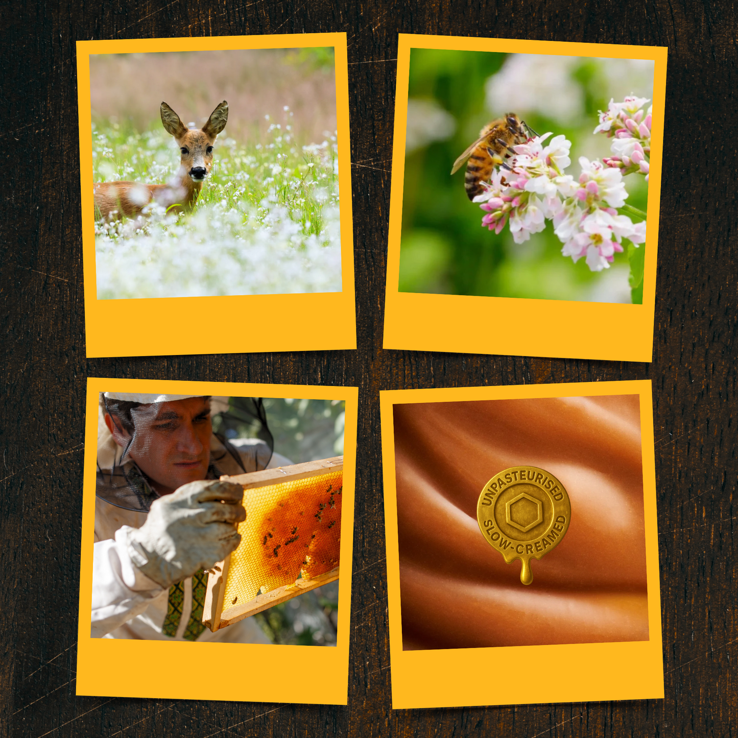 Buckwheat Specialty Creamed Honey